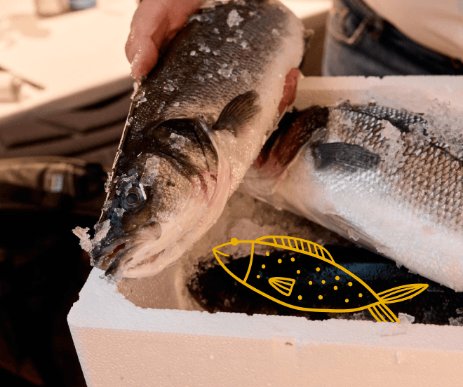 Fresh fish preparation at La Nò